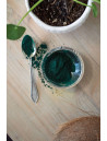 Poudre de Spiruline